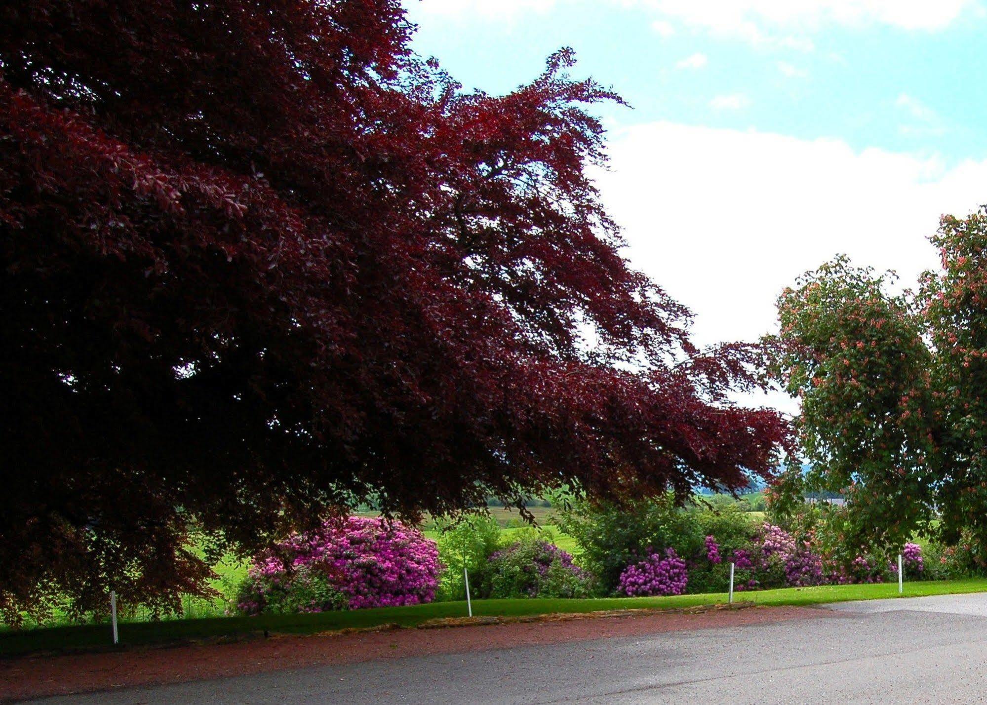The Urr Valley Country House Hotel Castle Douglas Exterior foto